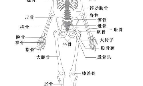 孕妇无名指发麻怎么办-孕妇无名指发麻网孕期手指麻木无力知识网站,分享孕妇无名指疼是怎么回事大全