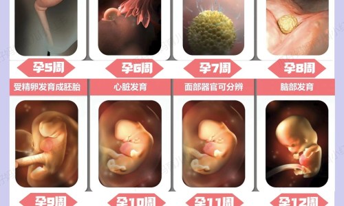 孕期手指麻木无力-孕妇无名指发麻网孕期手指麻木无力知识网站,分享孕妇无名指疼是怎么回事大全